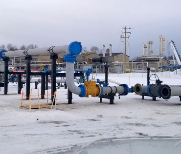 Specialized Services